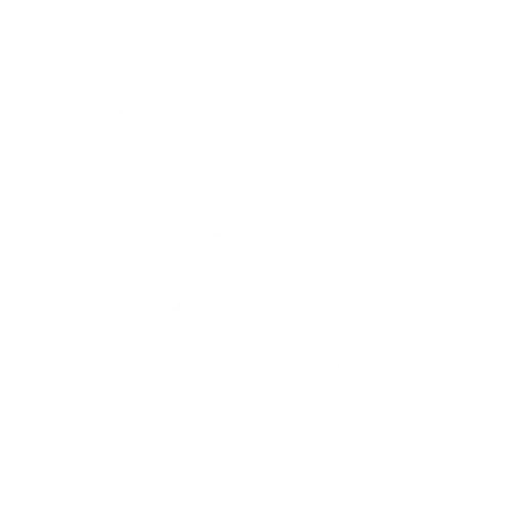 irondog studio
